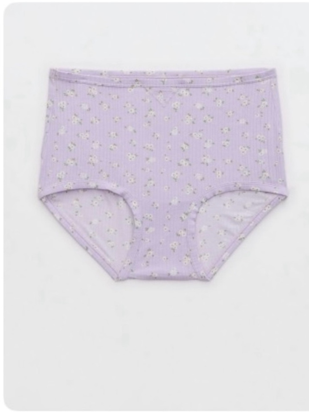 NWT Aerie Superchill Modal Rib Super High Waist Boybrief Panty